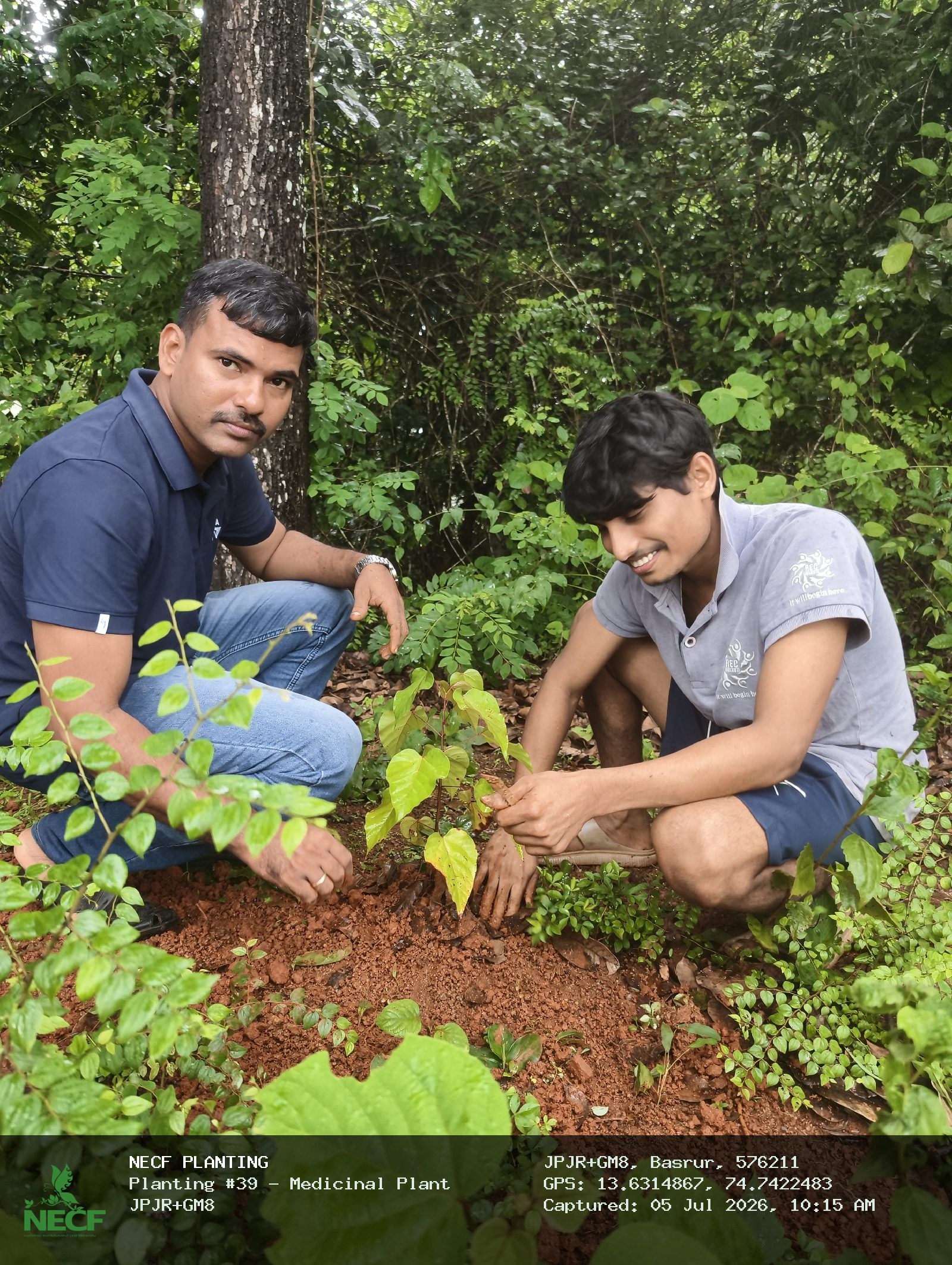Medicinal Plant