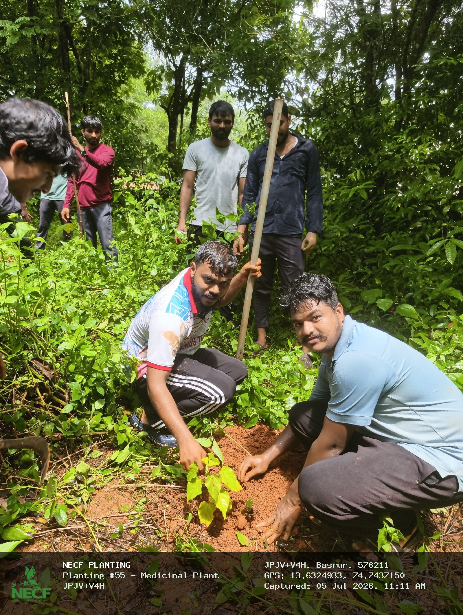 Medicinal Plant