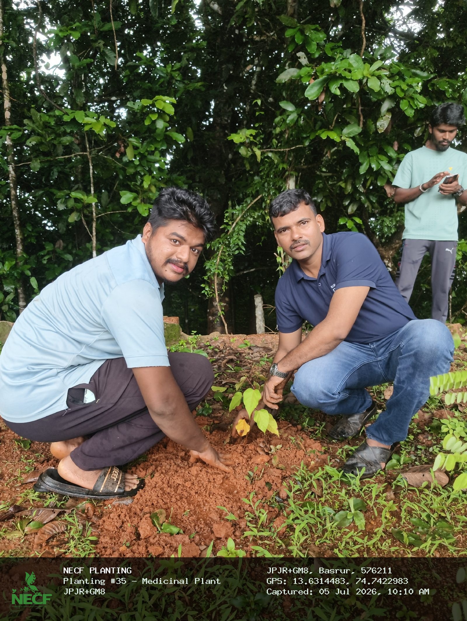 Medicinal Plant