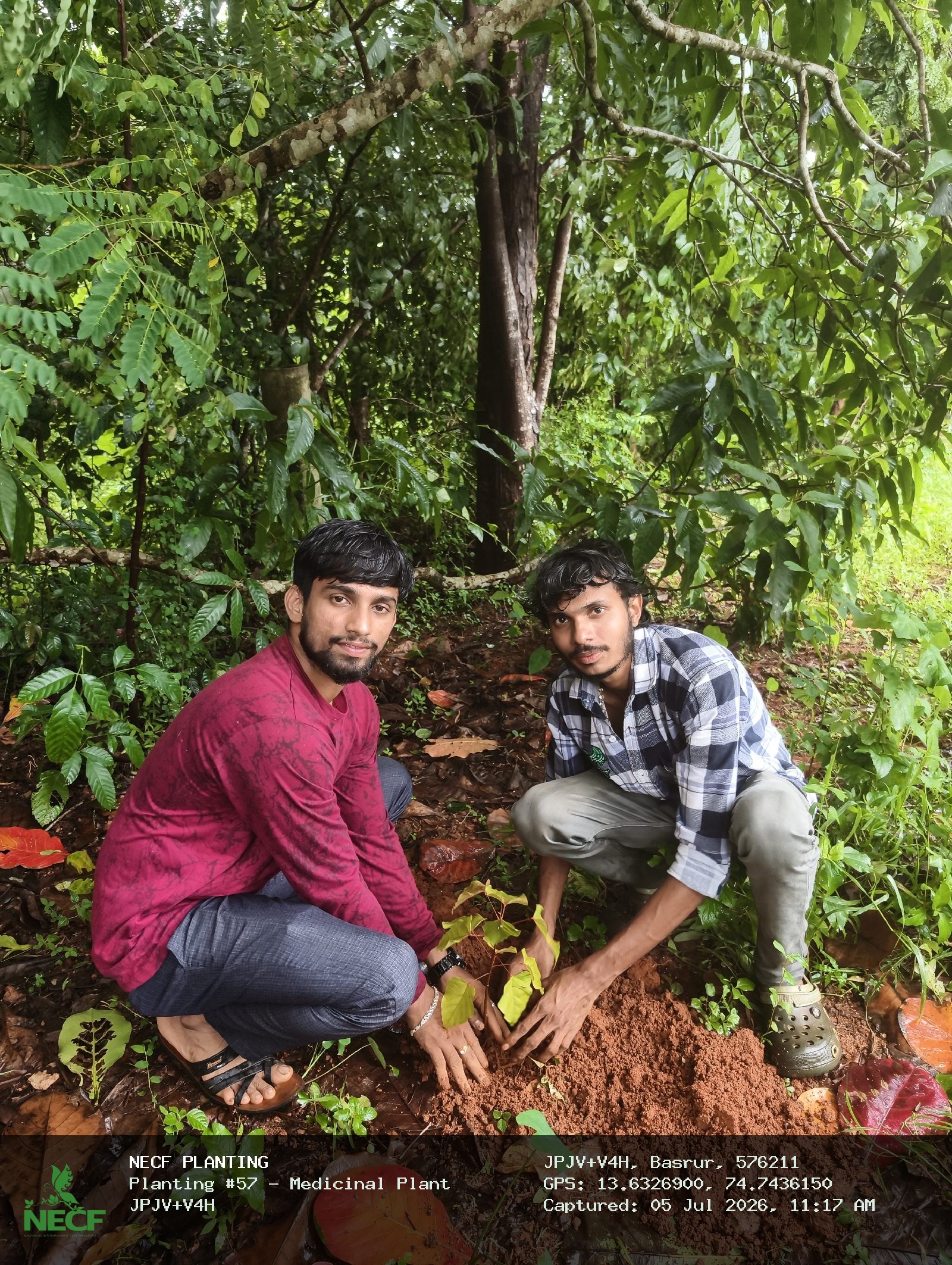 Medicinal Plant