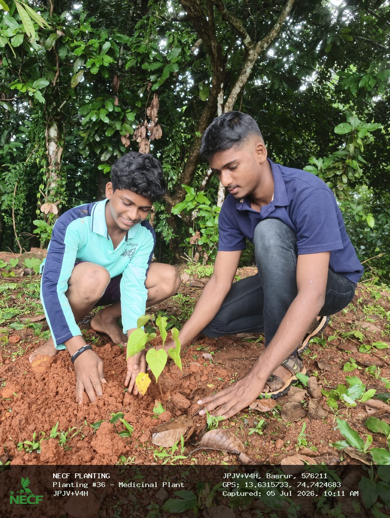 Medicinal Plant