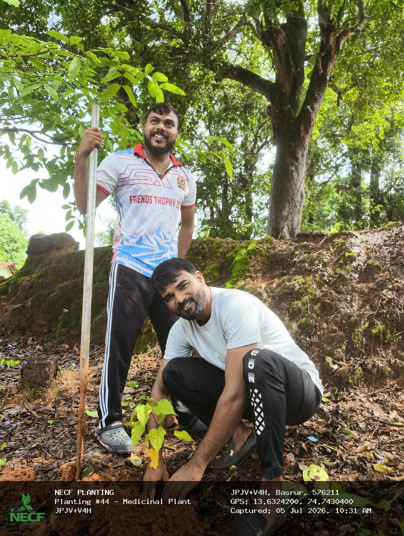 Medicinal Plant