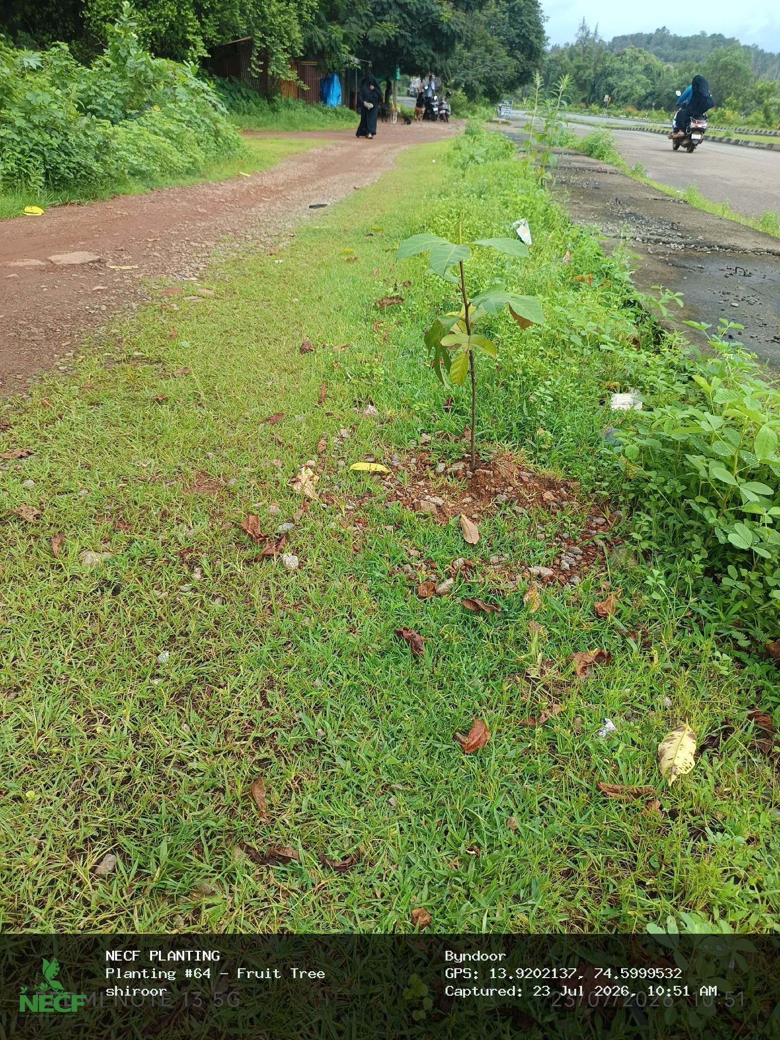 Fruit Tree